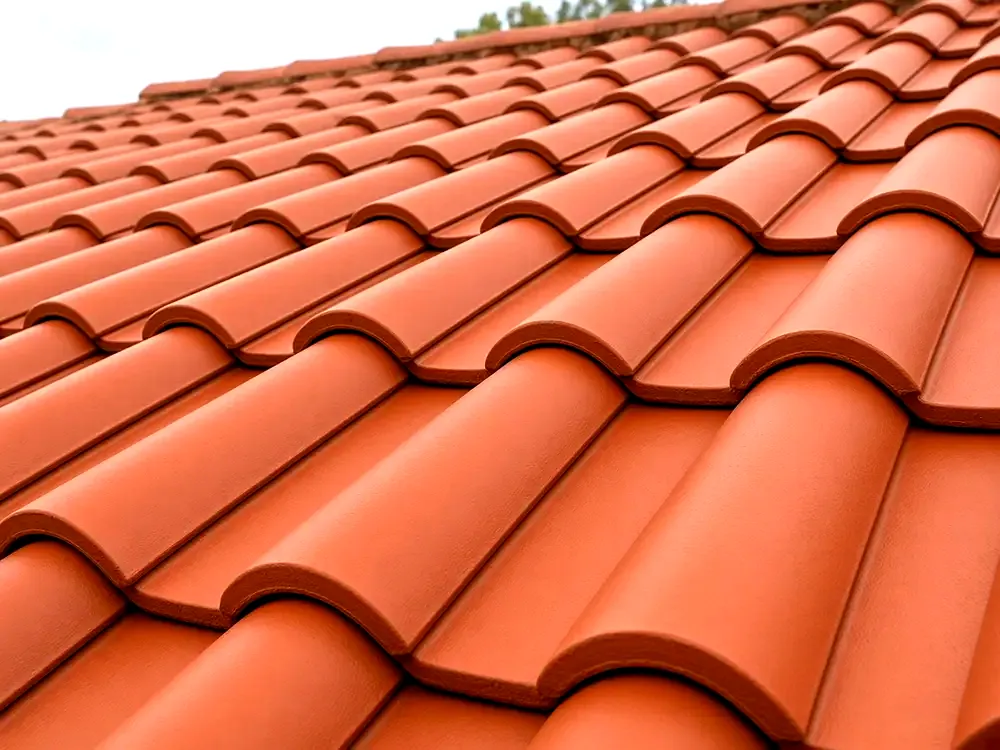 Roof cleaning