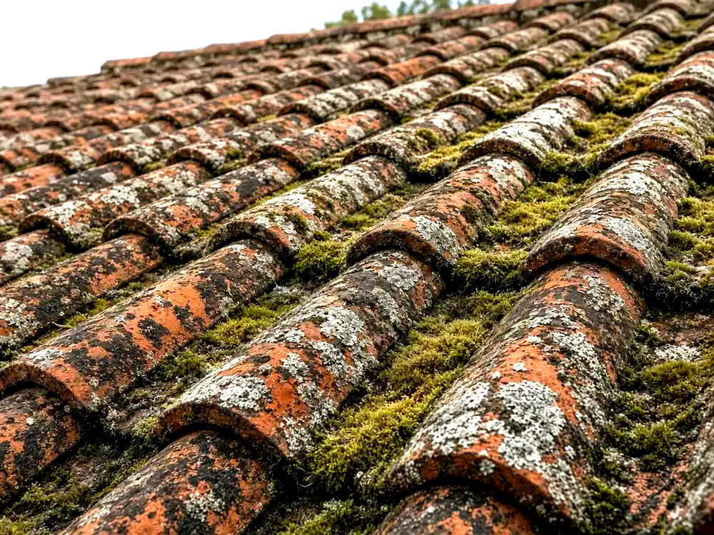 Tiled roof before