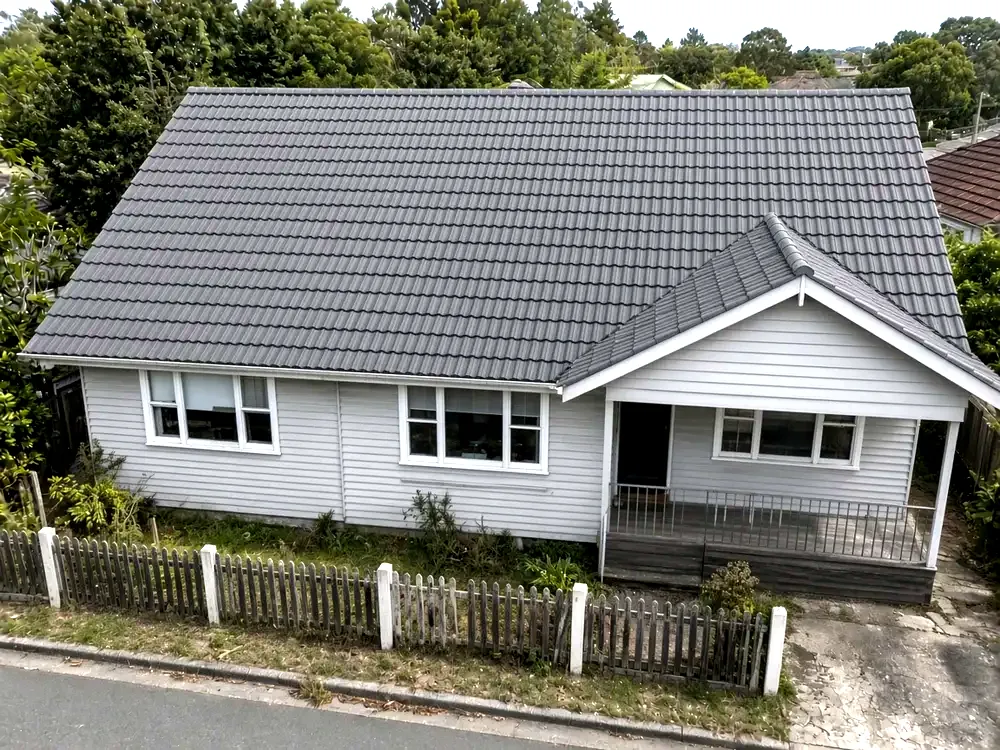 Roof painting