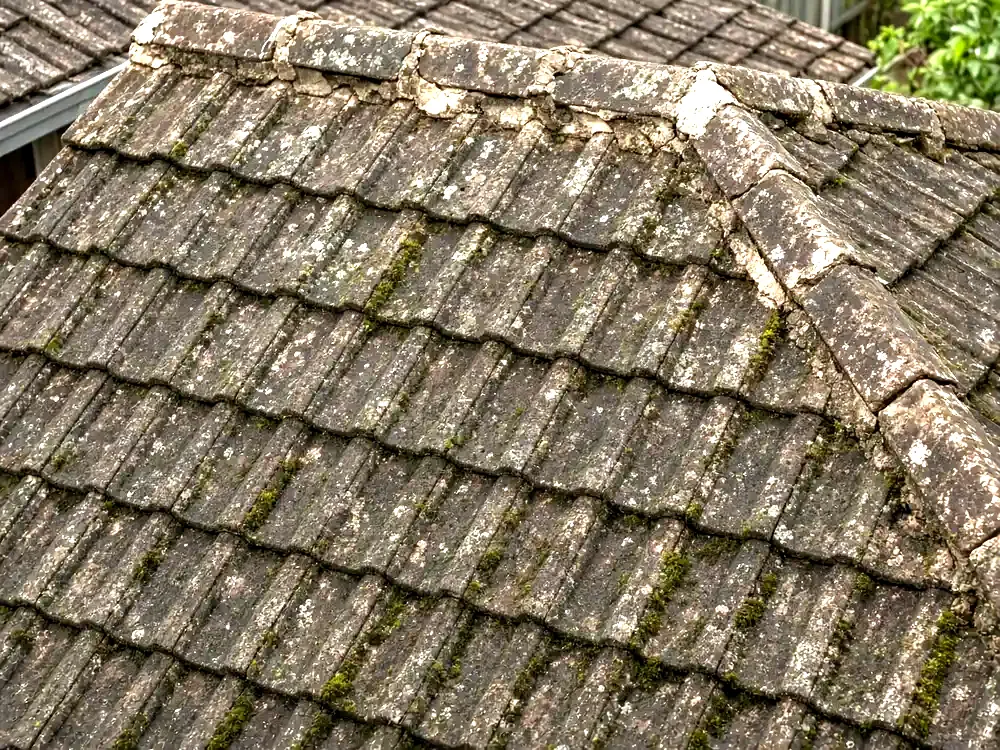 Ridge line before